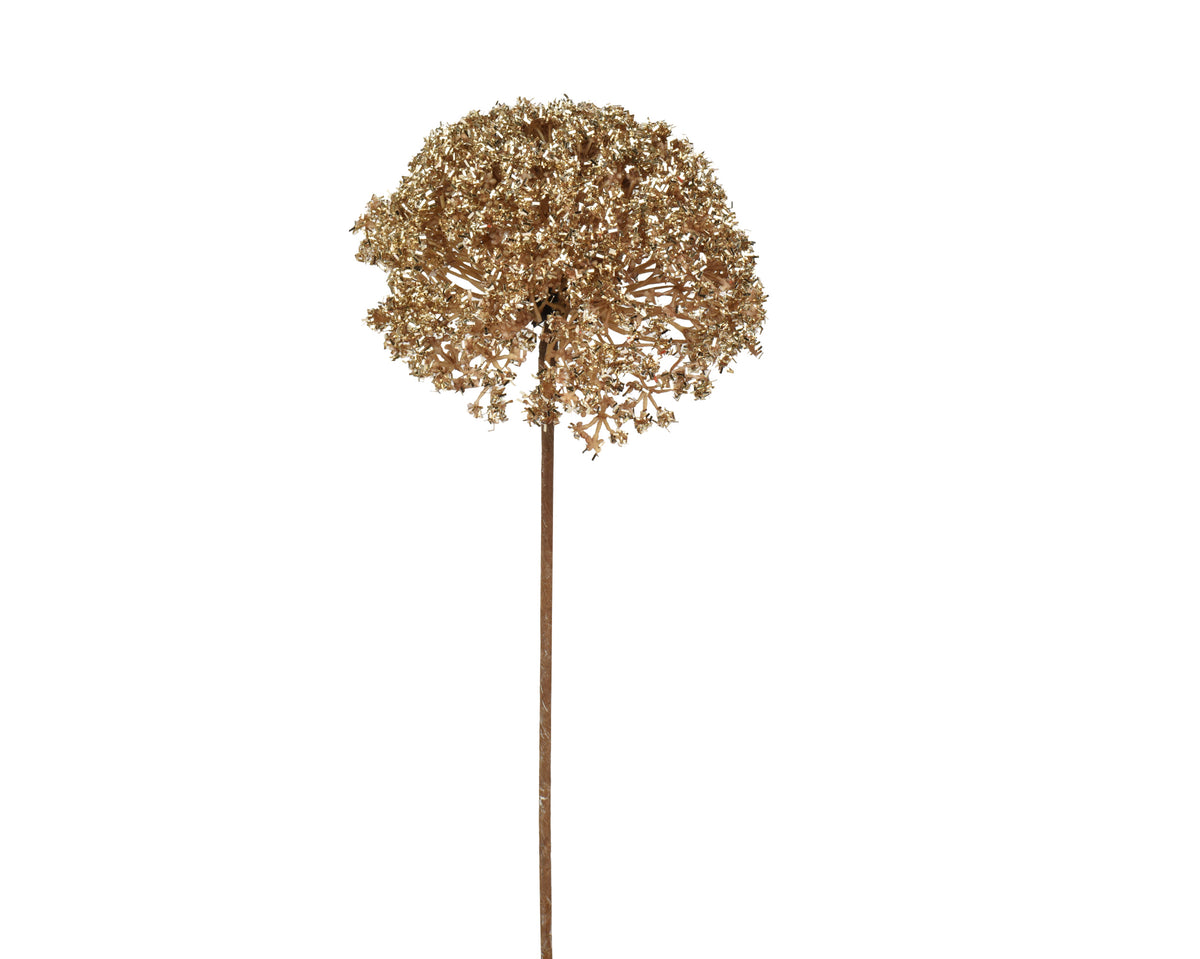 Gold spray allium stem
