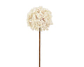 Frosted allium stem