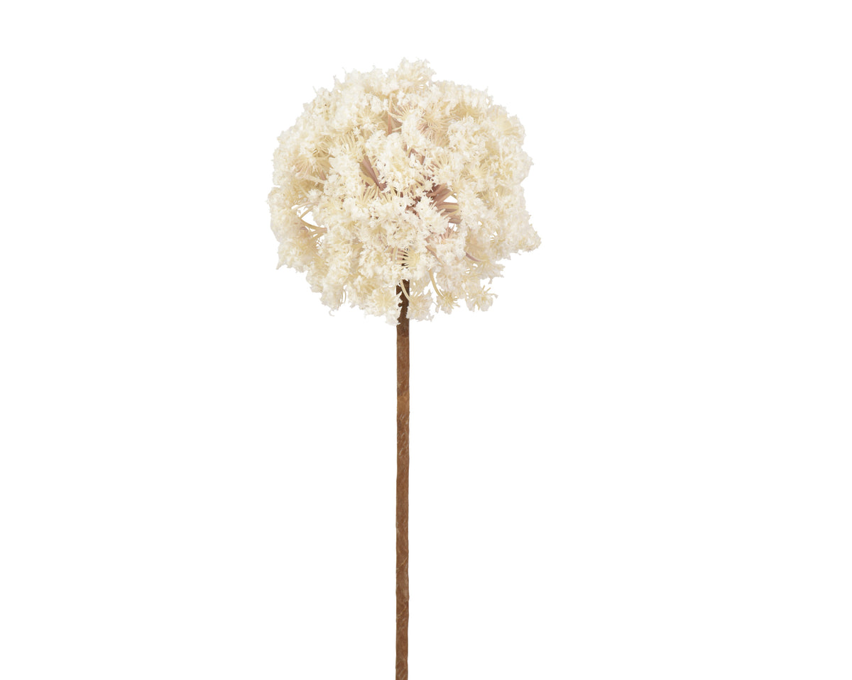 Frosted allium stem