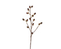 Brown acorn spray