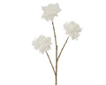 Fluffy snow spray seed ball on stem