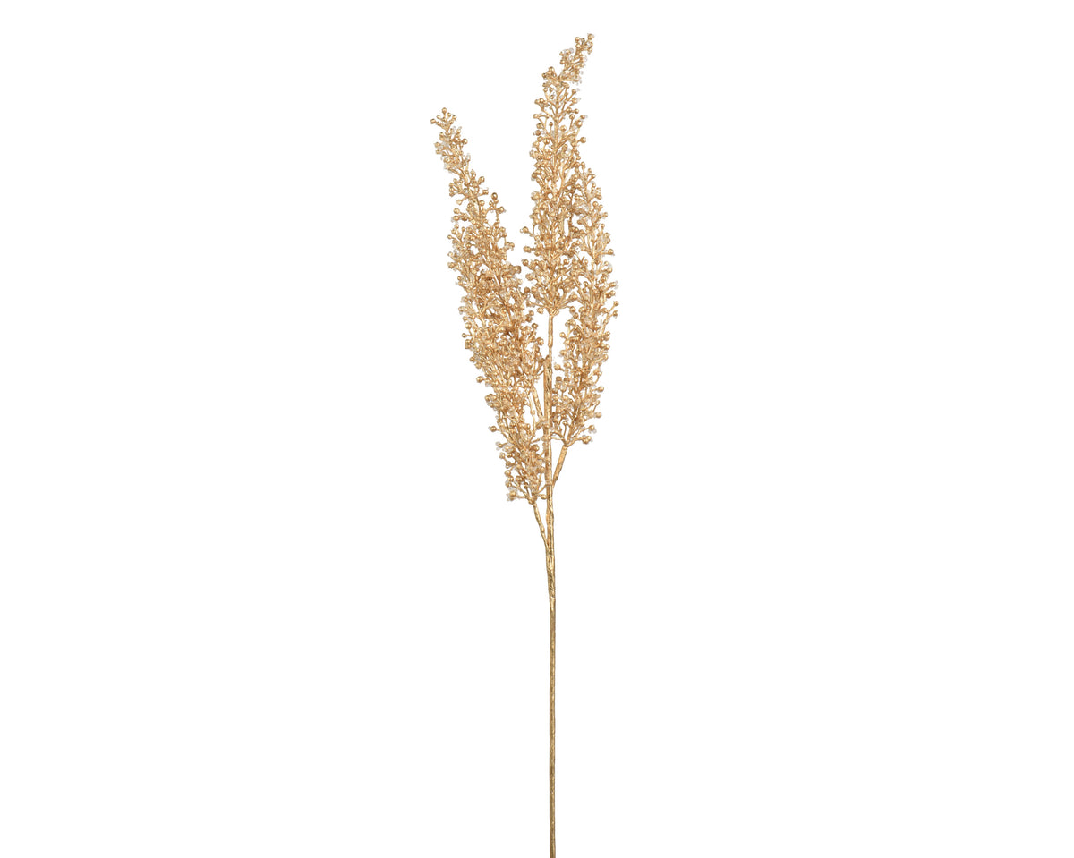 Gold spray astilbe