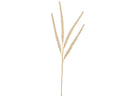 Gold spray mini berry foxtail