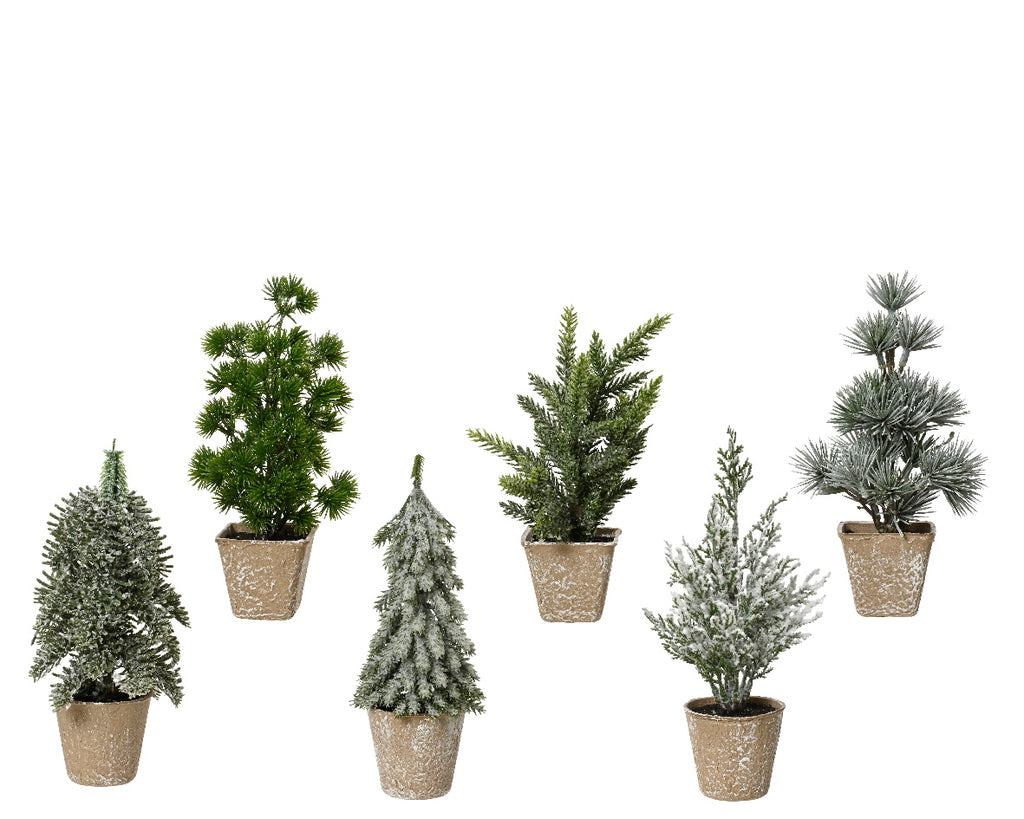 Mini potted trees (20cmH)