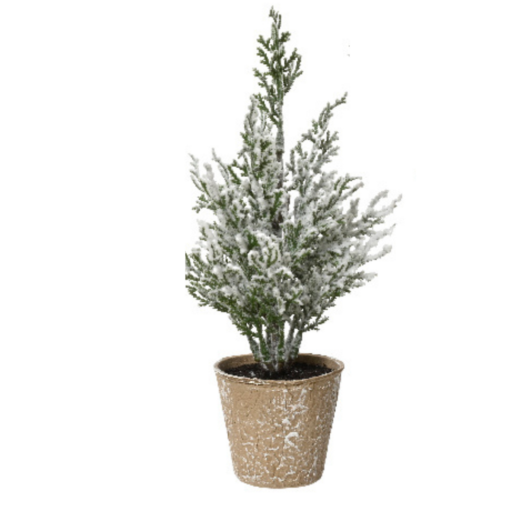 Mini potted trees (20cmH)