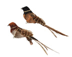 Glitter & feathered bird clip