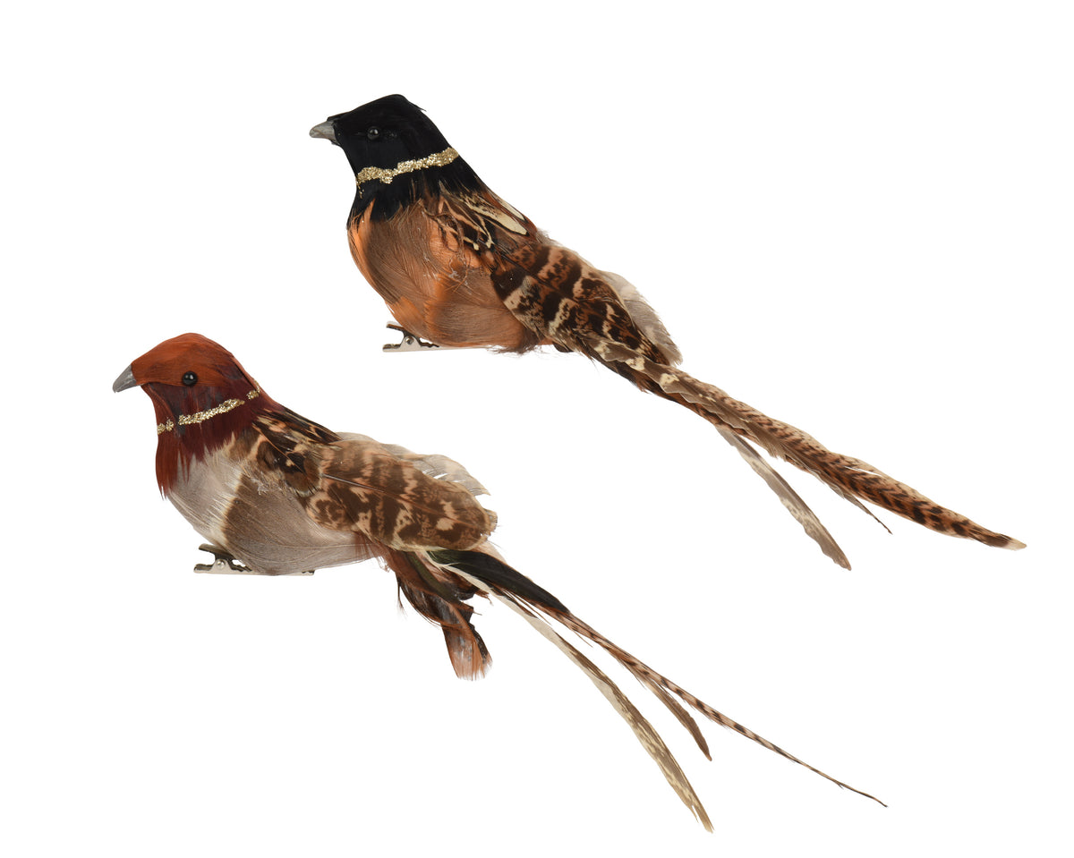 Glitter & feathered bird clip