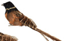 Glitter & feathered bird clip