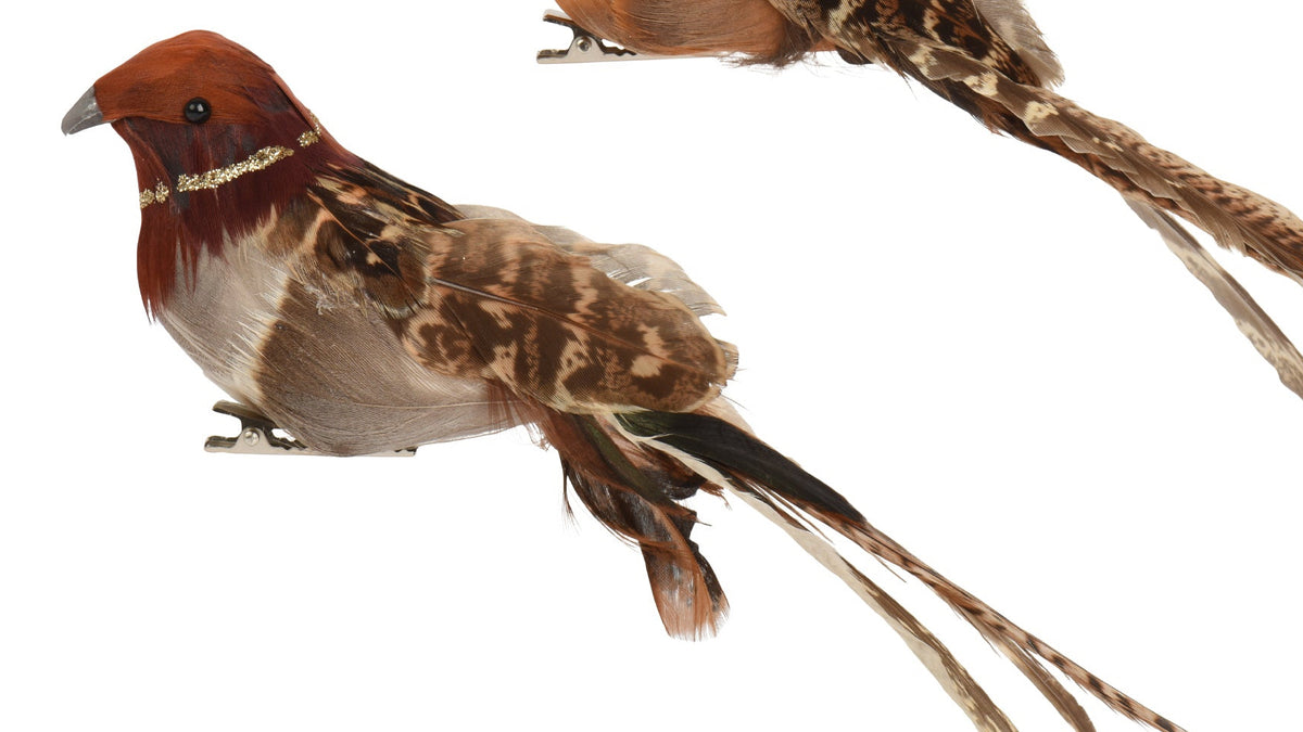 Glitter & feathered bird clip