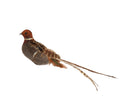 Glittered & feathered bird on clip