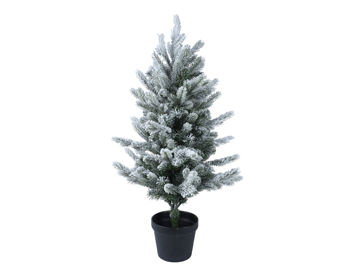 Pre-potted snowy Allison mini tree (90cmH)