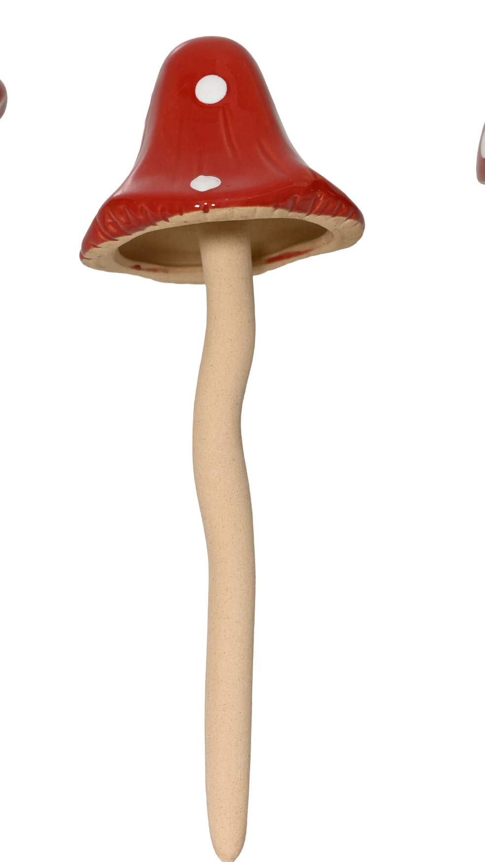 Mushroom on a stick