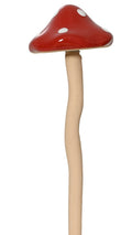 Mushroom on a stick