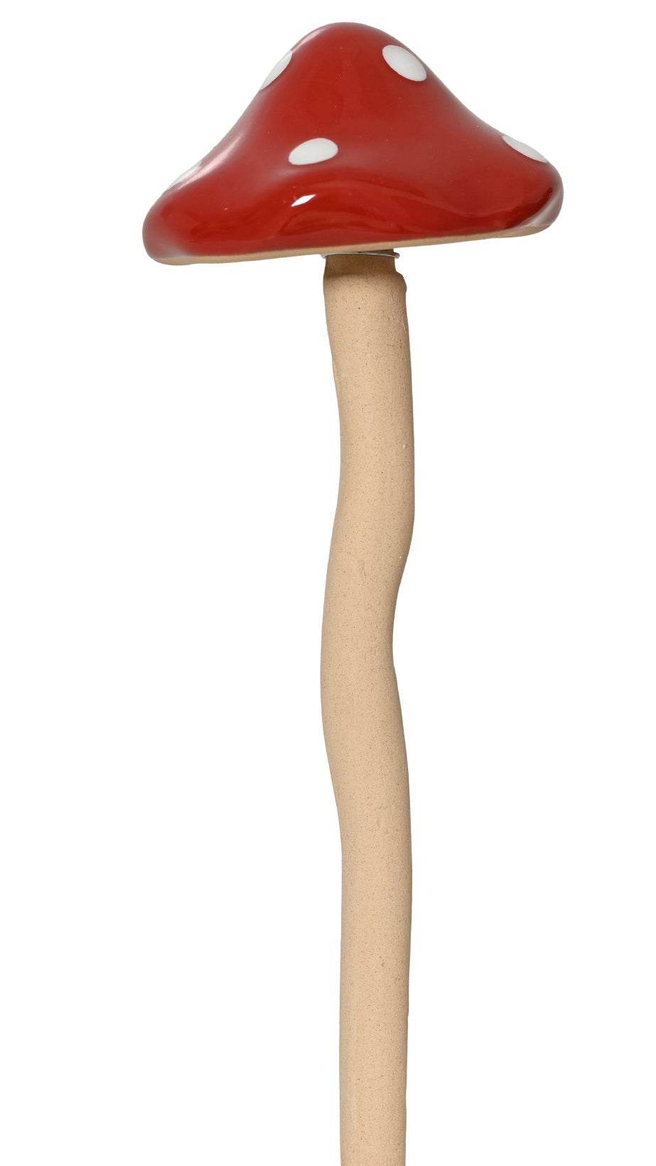Mushroom on a stick