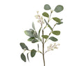 White berry with eucalyptus leaves stem