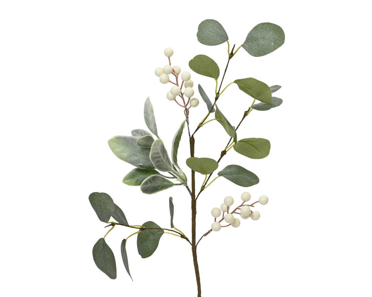 White berry with eucalyptus leaves stem