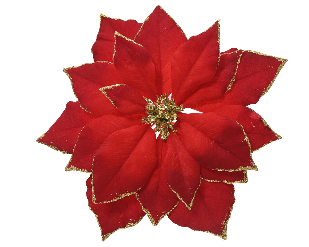 Christmas red poinsettia clip with gold edge