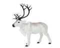 Winter reindeer