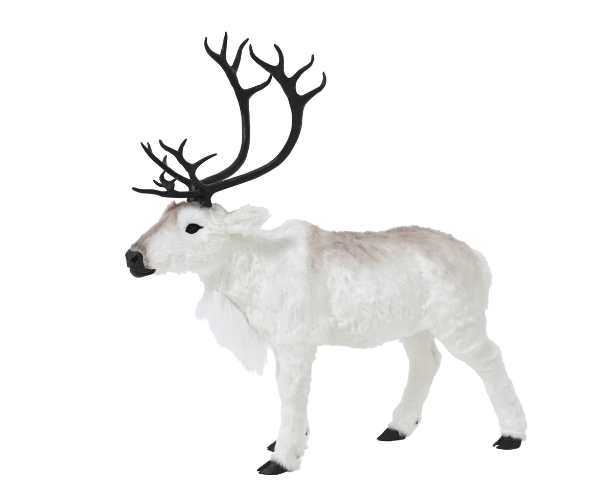 Winter reindeer