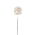 Winter white protea ball with gold stem