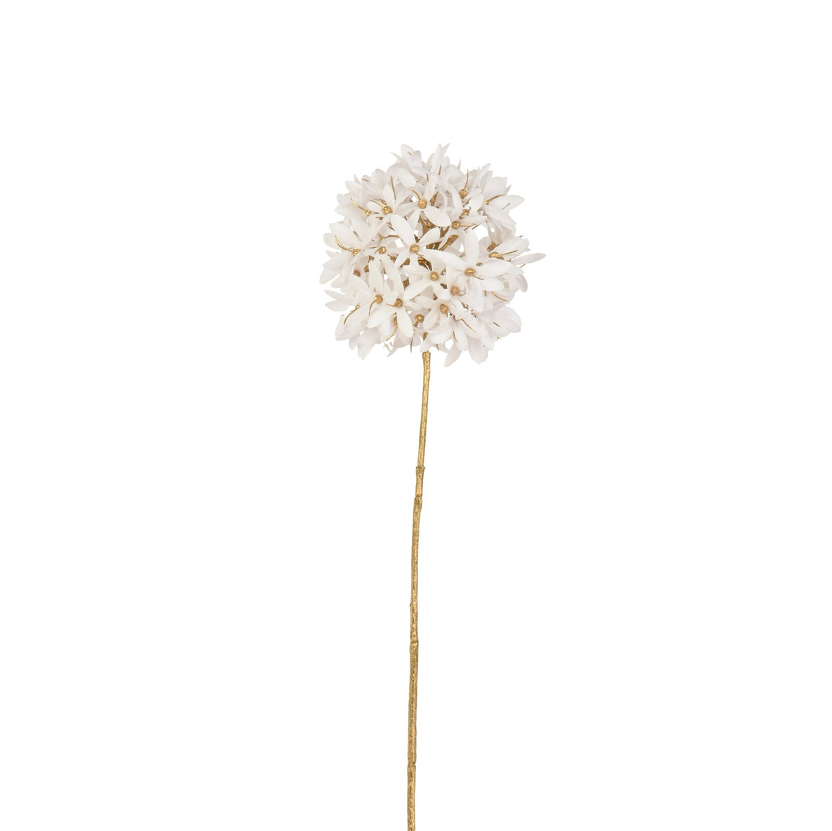 Winter white protea ball with gold stem