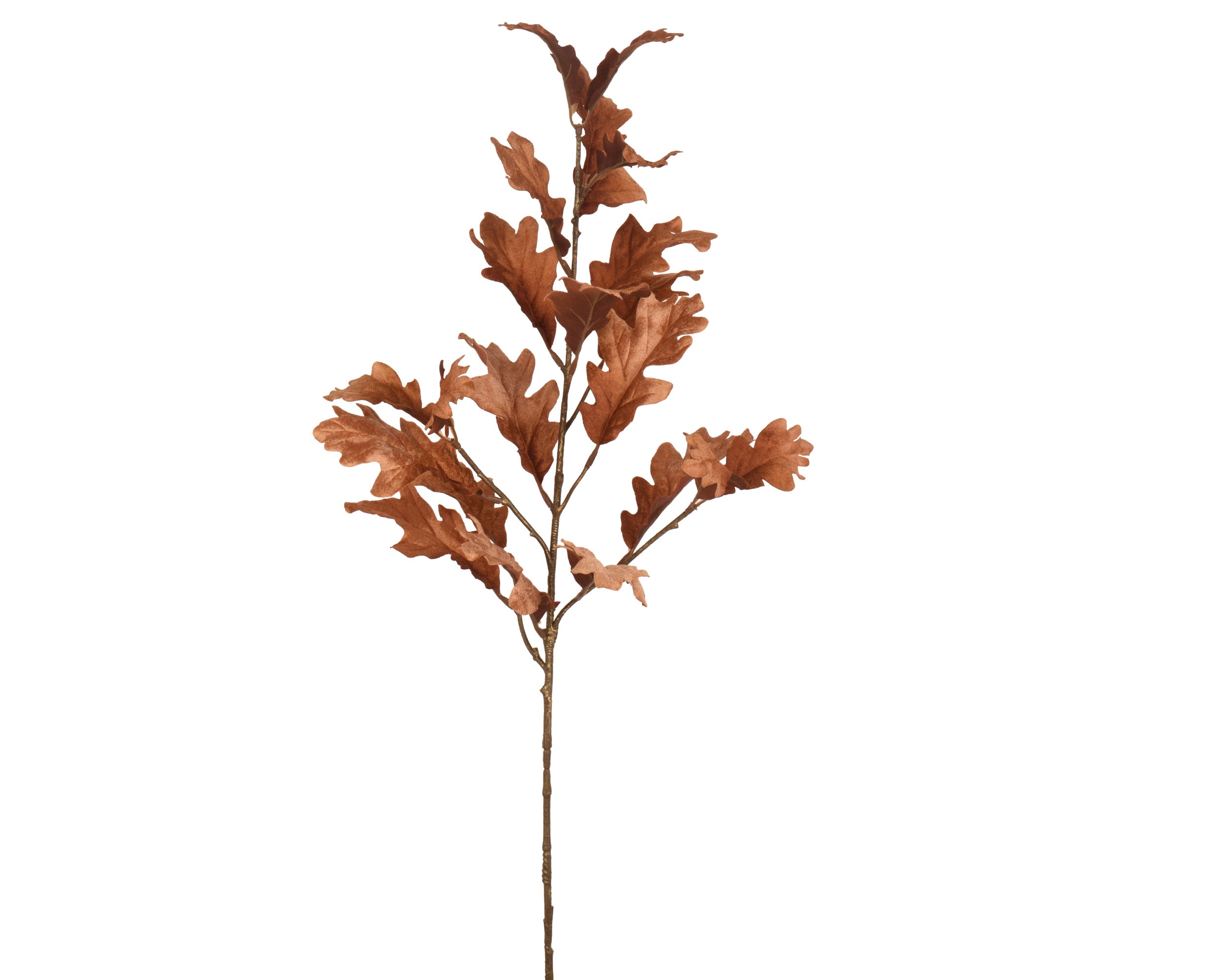 Velvet gold wash leaf stem