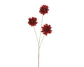 Red velvet  dahlia with gold wash stem