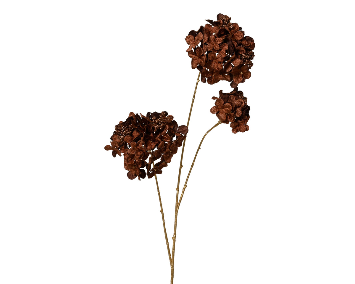 Chocolate brown triple head hydrangea