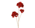 Christmas red triple head hydrangea