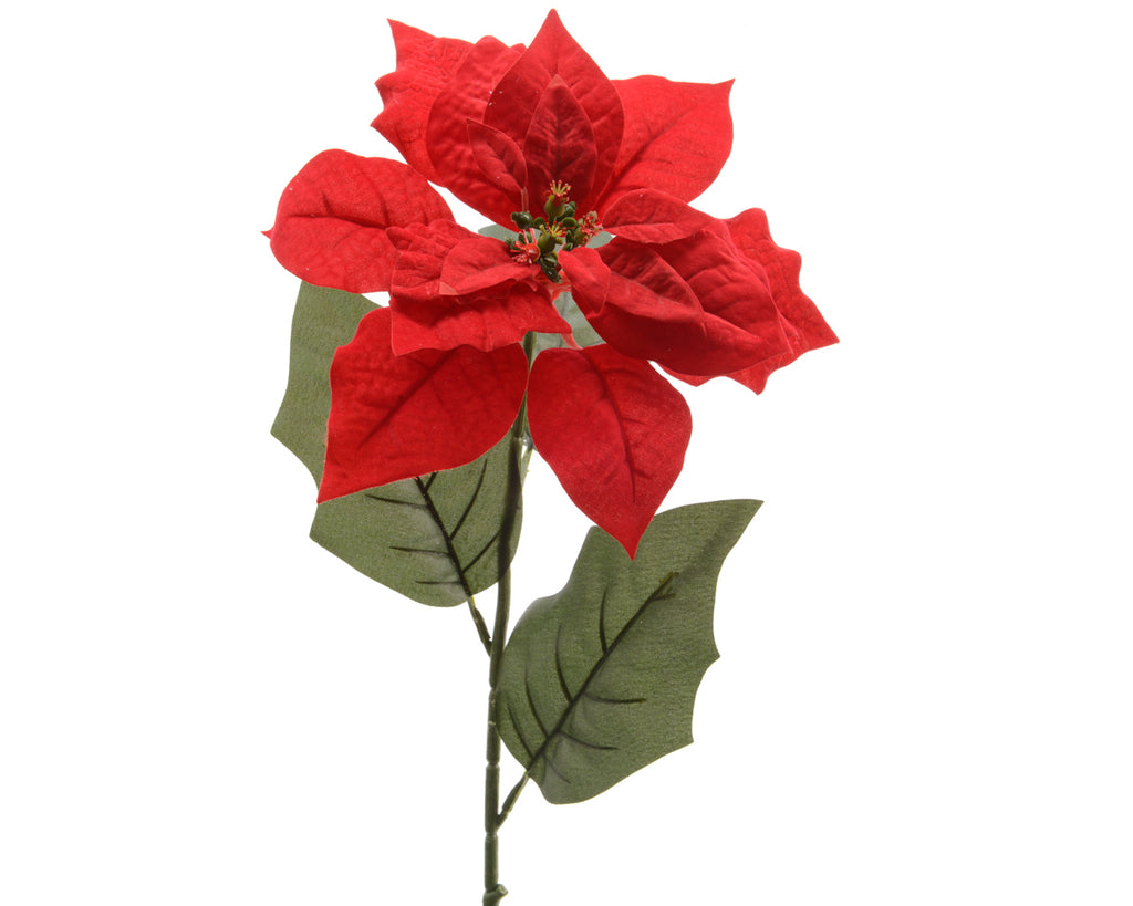 Red poinsettia stem (67cmH)