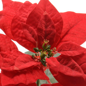 Red poinsettia stem (67cmH)