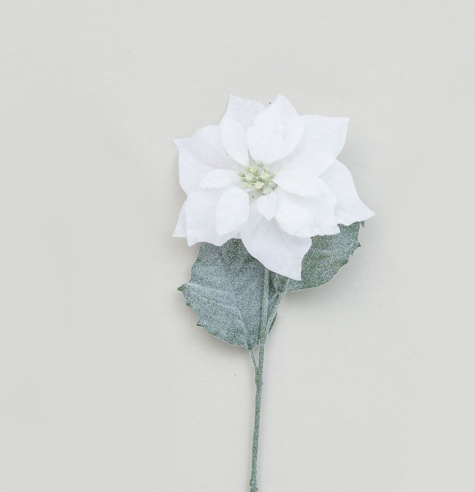 Frosted winter white poinsettia spray