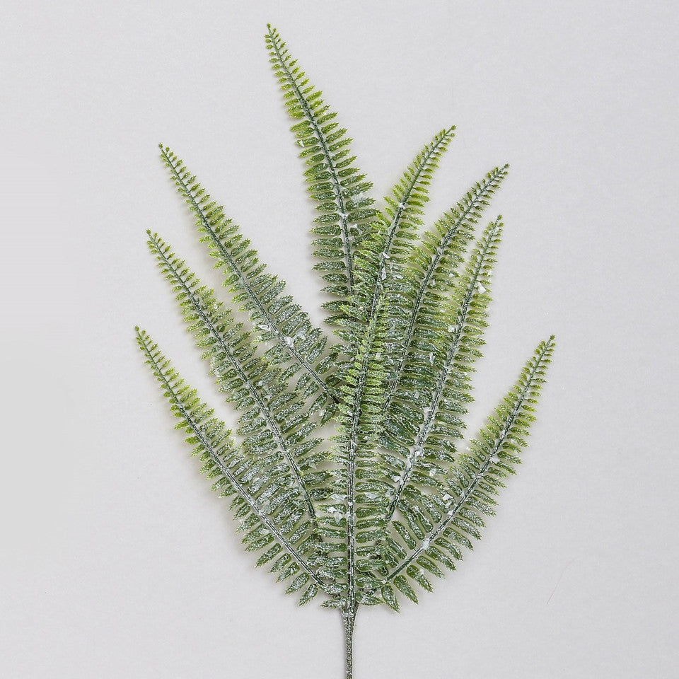 Frosted green fern spray