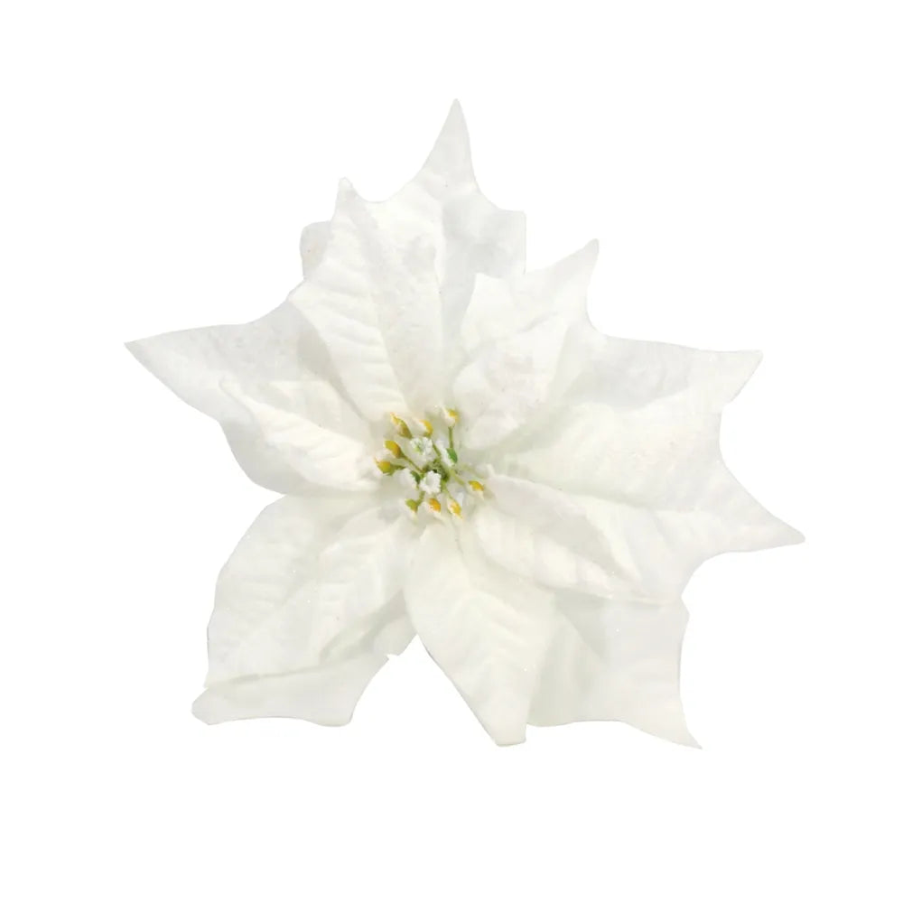 Snowy white poinsettia flower clip