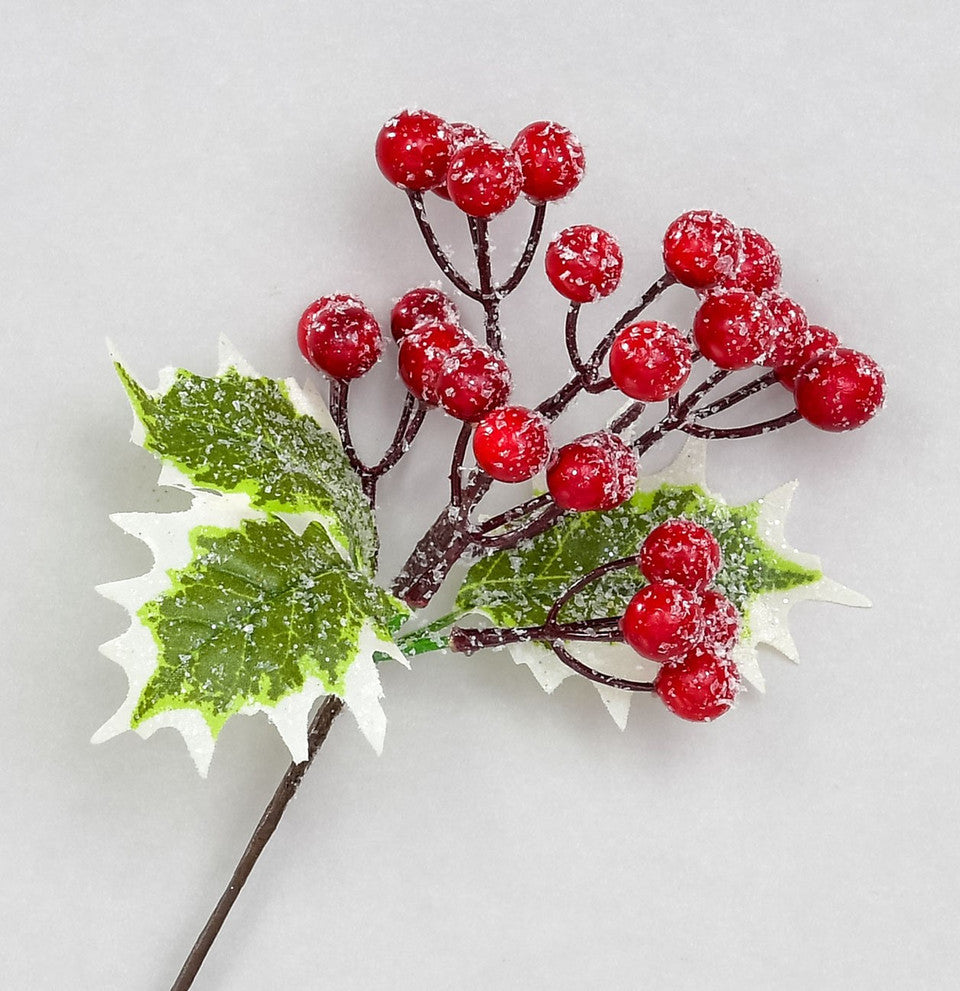 Frosted holly pick with variegated leaves