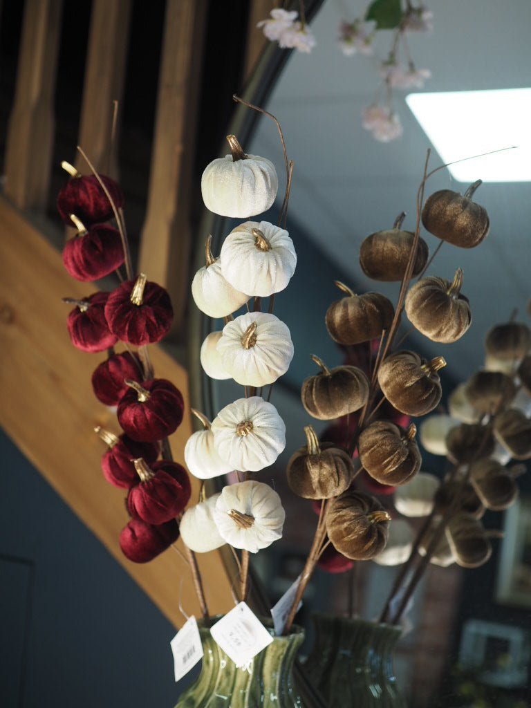 Burgundy velvet pumpkin stem