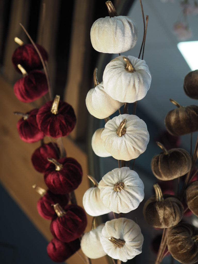 Cream velvet pumpkin stem
