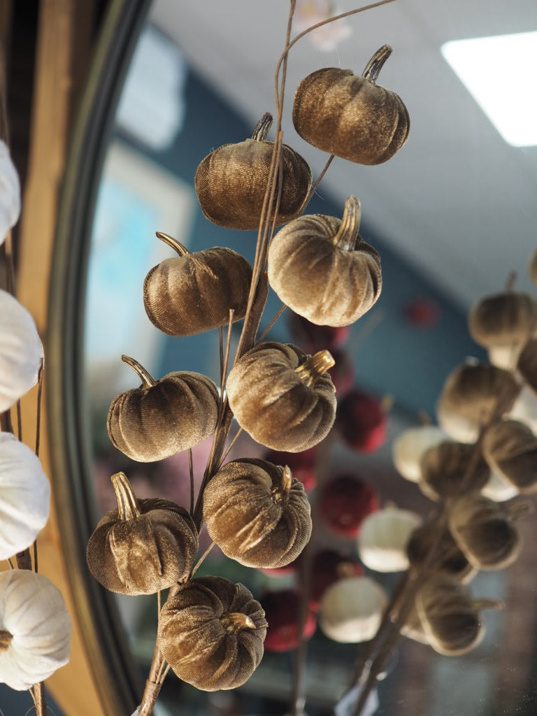 Brown velvet pumpkin stem