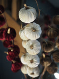 Cream velvet pumpkin stem