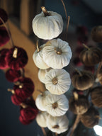 Cream velvet pumpkin stem