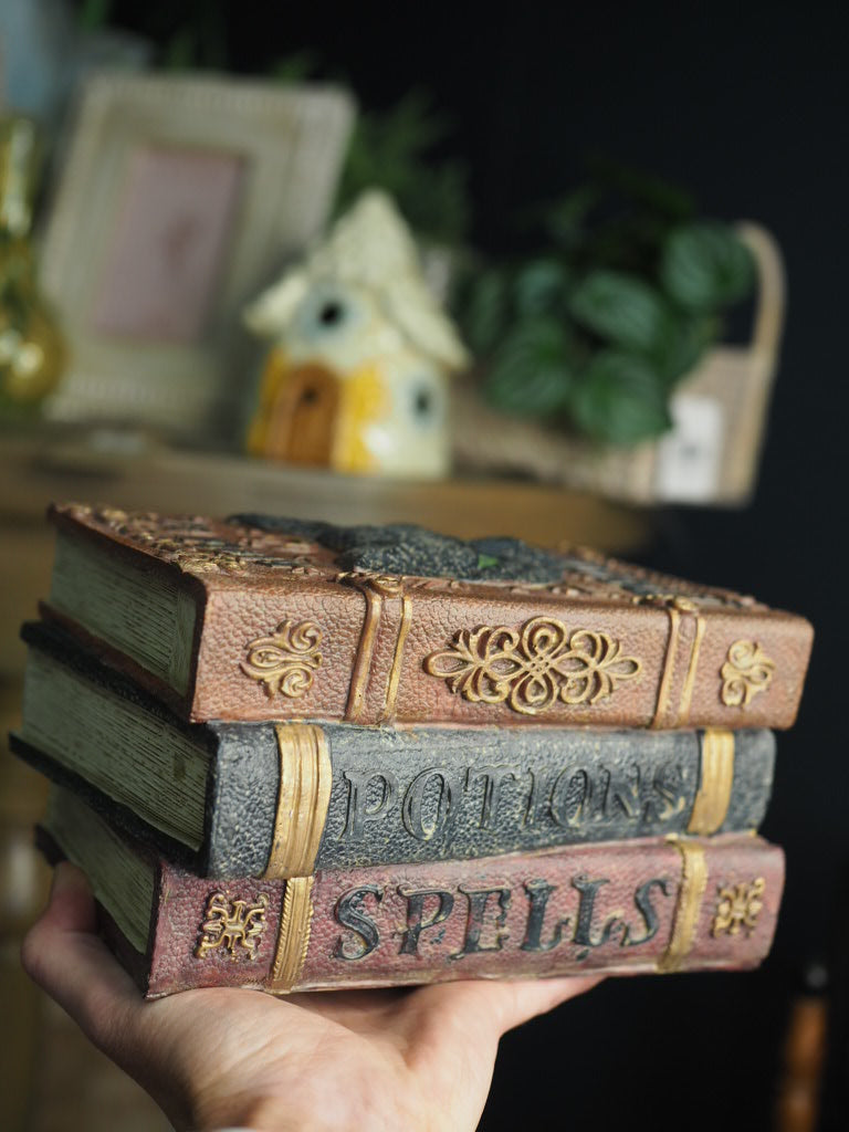 Black cat fortunes potions spells books