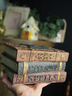 Black cat fortunes potions spells books