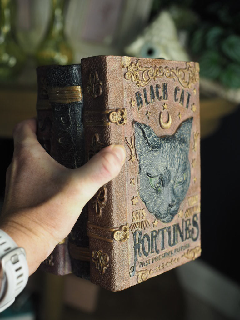 Black cat fortunes potions spells books