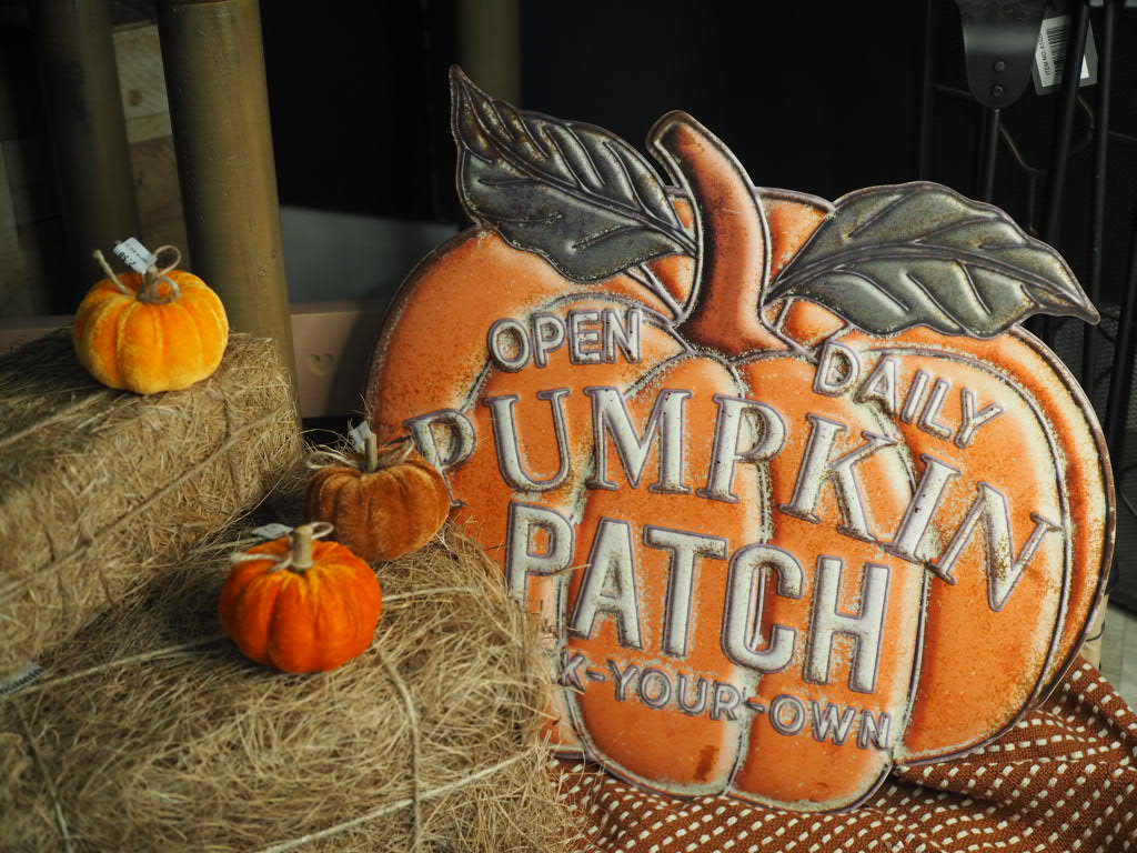 ‘Open daily’ pumpkin patch sign