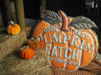 ‘Open daily’ pumpkin patch sign