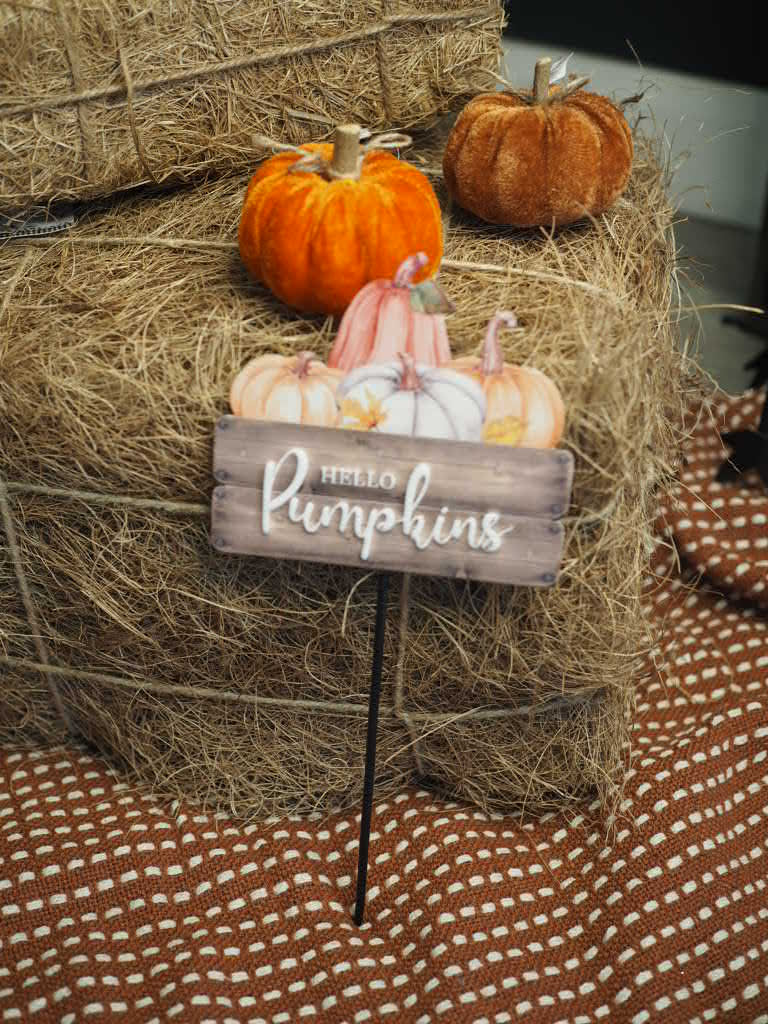 Hello pumpkins stake