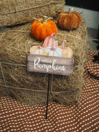 Hello pumpkins stake