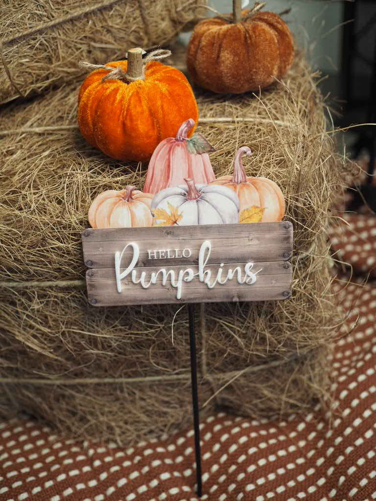 Hello pumpkins stake