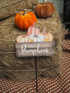 Hello pumpkins stake