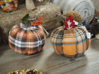 Orange tartan pumpkin mix